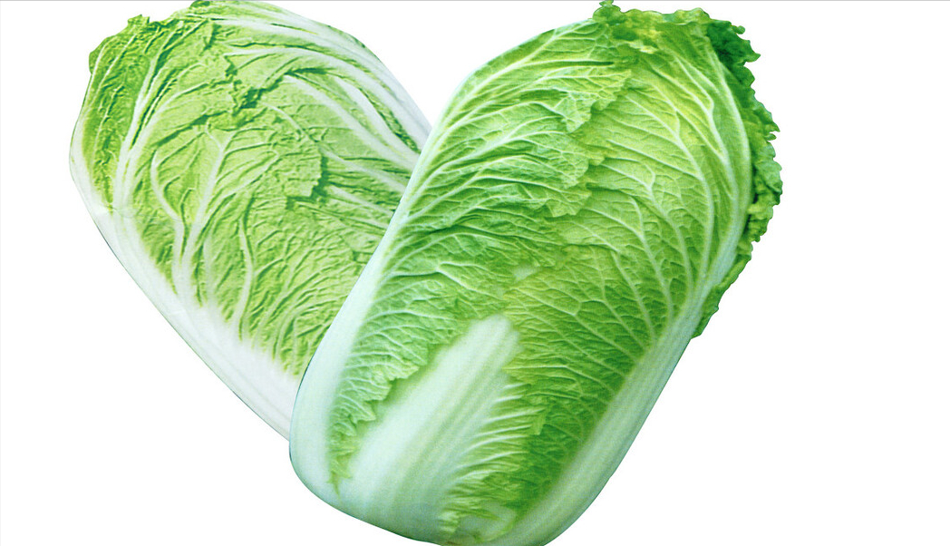 如何正确挑选白菜?