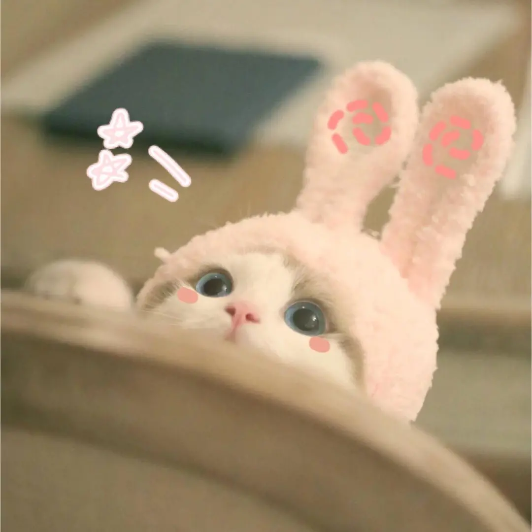 「你喜欢的大学」 拍了拍你，并说：这是你的录取通知书嘛？