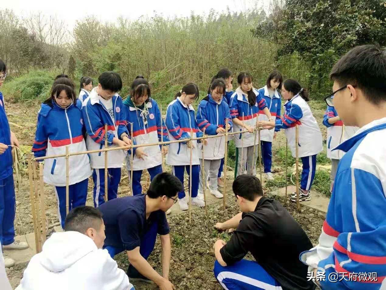 办特色学校·创卓越高中，来看新都香城中学的十年树木和芝兰玉树