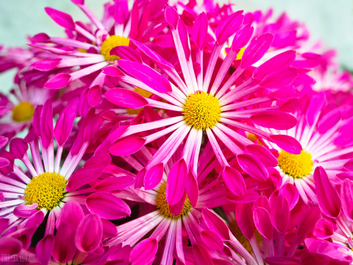 知道不该打扰你，偏偏做不到忘记你，缘起一刹那，情牵一辈子