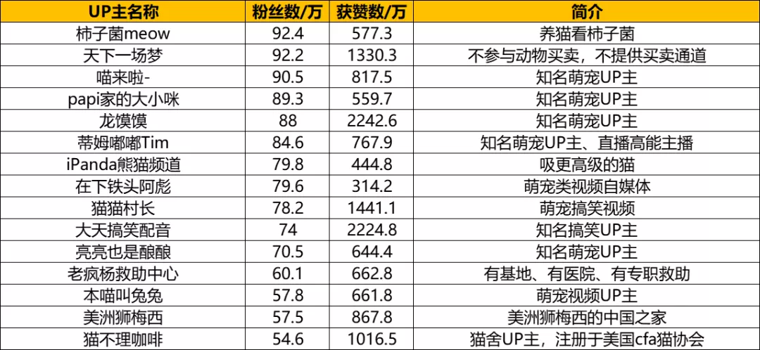 ?B站萌宠UP主盘点：花花与三猫继续领跑，新增三位百万级UP主