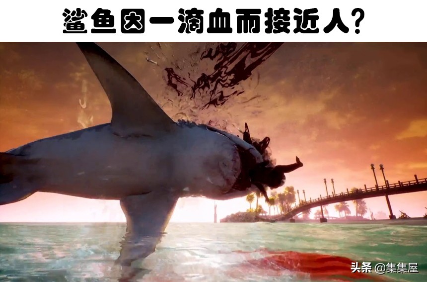 金装律师 美剧（在电影里不断出现）