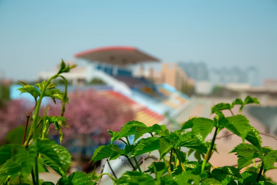 不足50天！2022年考研将至，这11位陕西大学生已成“准研究生”