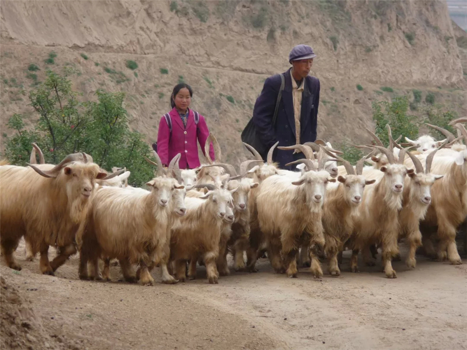 寒门考生沈娟，高考总分47分，爷爷不敢相信，隐情让人泪目