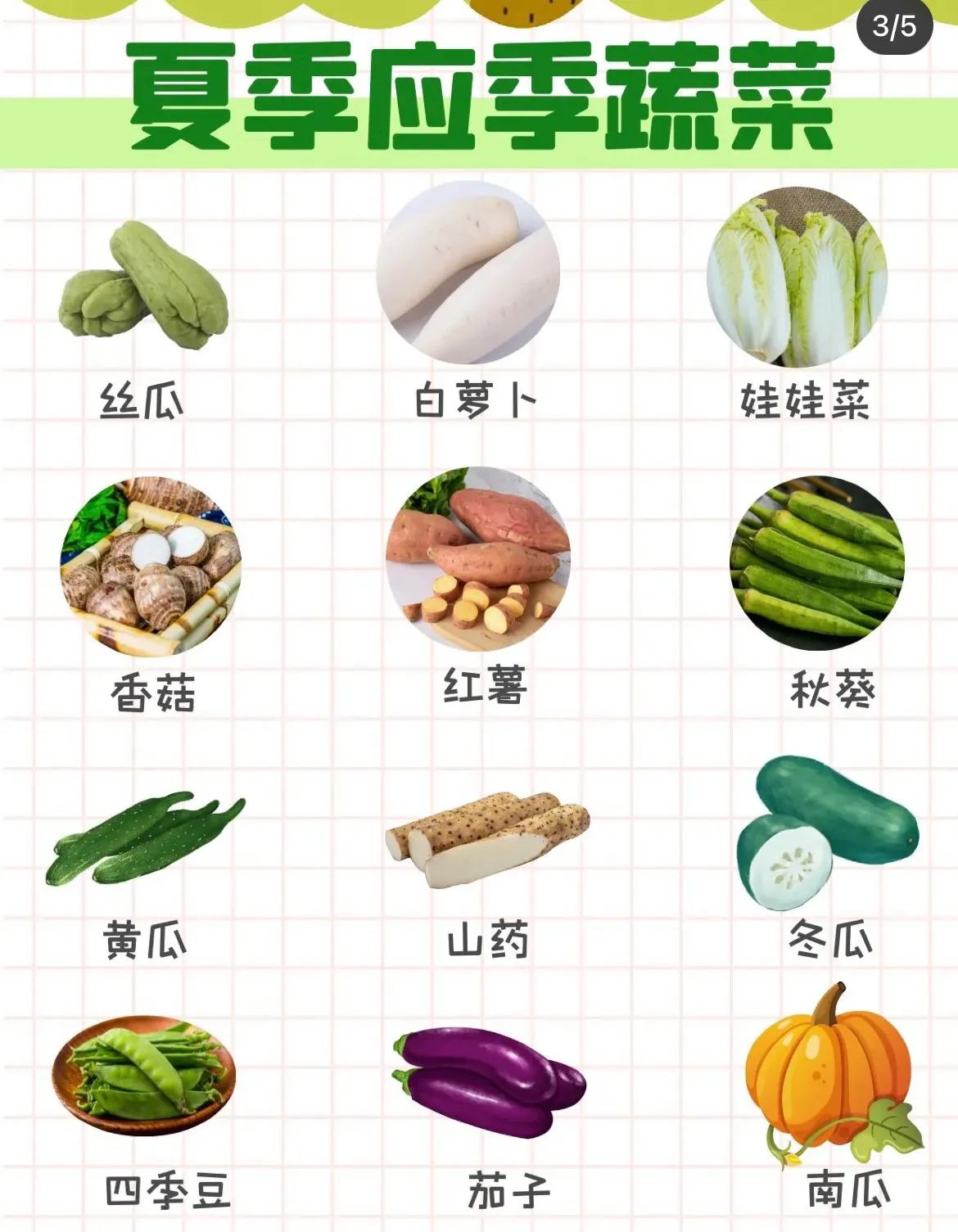 秋季时令蔬菜百合,生姜,金针菇,莲藕,菠菜,杏鲍菇油麦菜,西芹,生菜