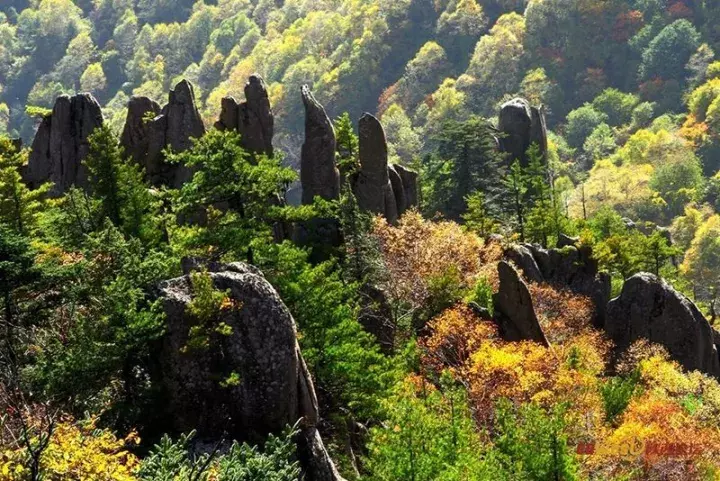 中国醉美秋色在秦岭,2条自驾路线解锁最绚烂秋景,10月最美
