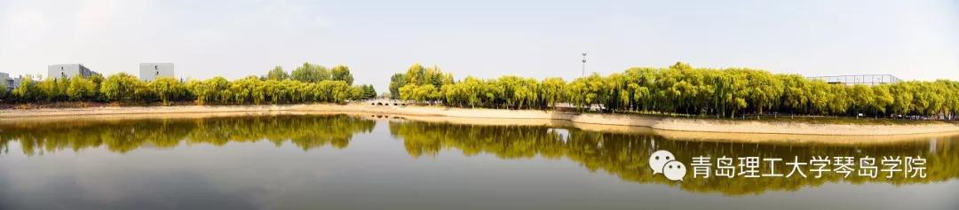 青岛理工大学琴岛学院：我把你画成画，与你平分琴院的秋色