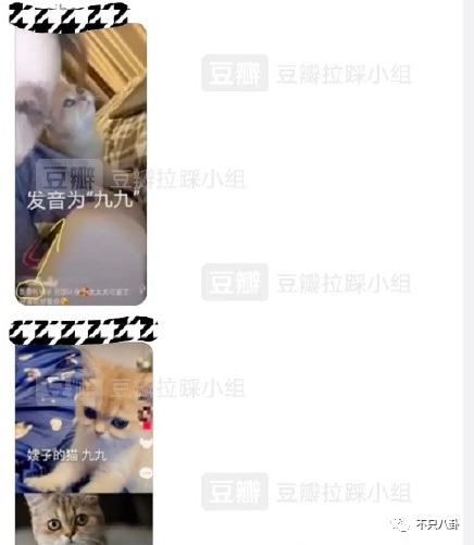 连环暴击！这真的是最惨的一次“塌房”吧？