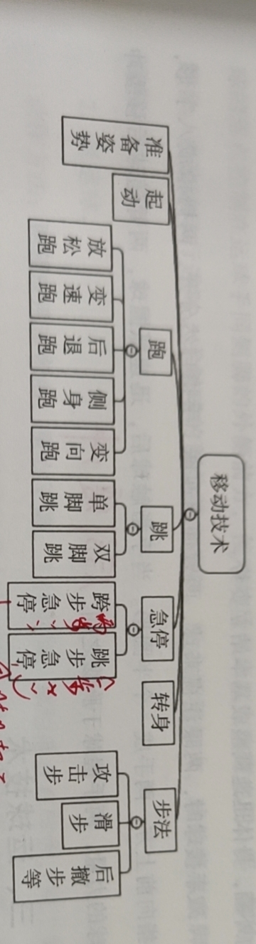 篮球比赛中有多少种时间比例(硬核科普~  篮球运动的主要技术、战术)