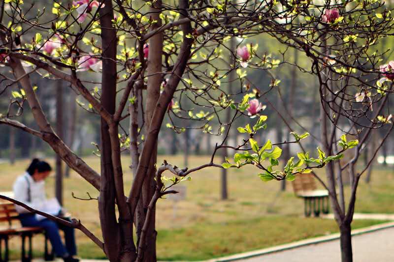 就业率98％以上！2020年，这所北京高校值得报考，吃住条件相当好！