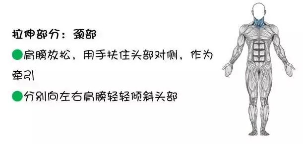 第一美臀，曾是總統御用私教，體重132斤卻憑好身材年入800萬？