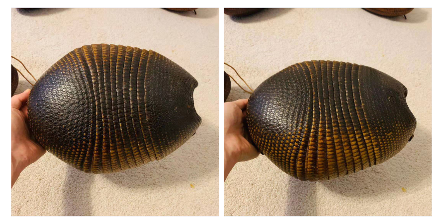 人造革是什么样子的（超全面珍稀皮革博览：33种罕见皮革材料图文集合）