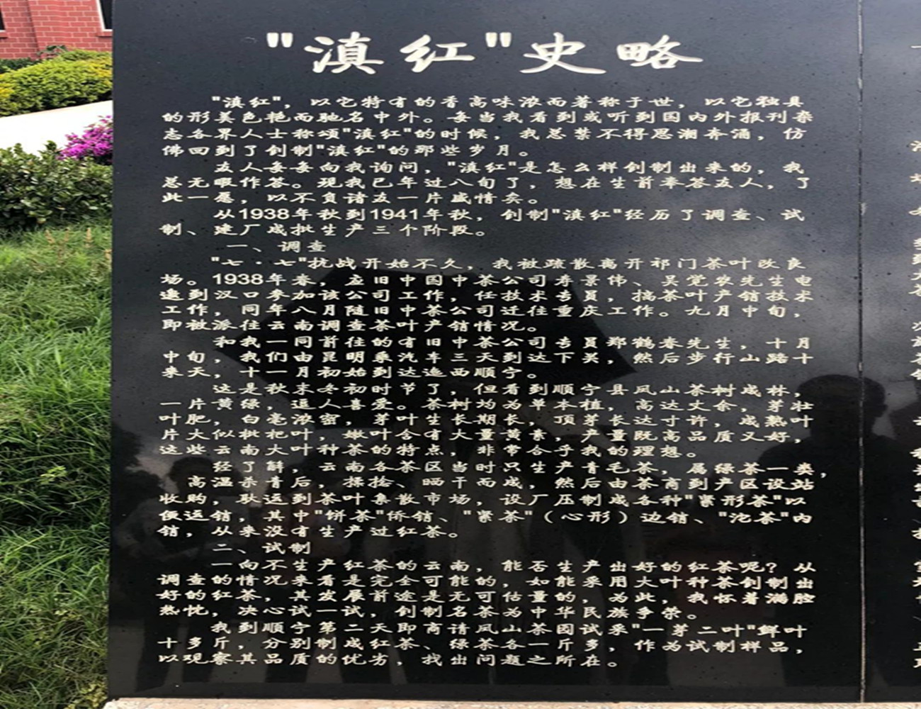 滇红是什么茶（云南滇红与普洱茶的区别介绍）