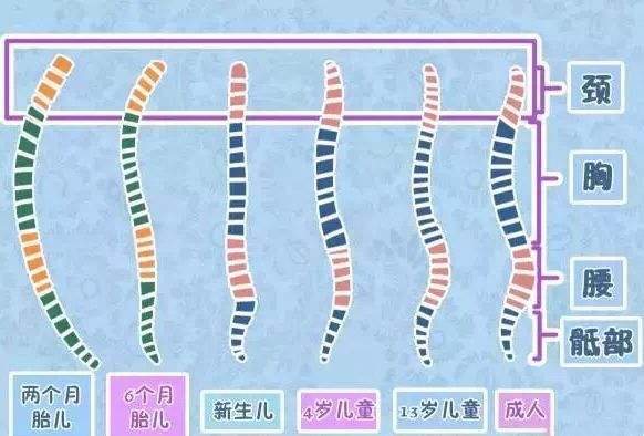 医生说6个月前不能竖抱？竖抱宝宝不分月龄，还可以让孩子更聪明