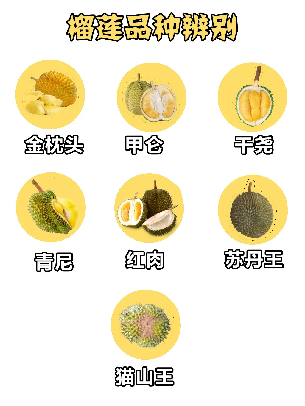 挑选榴莲如何不踩坑?学会3招,一分冤枉钱都不会花
