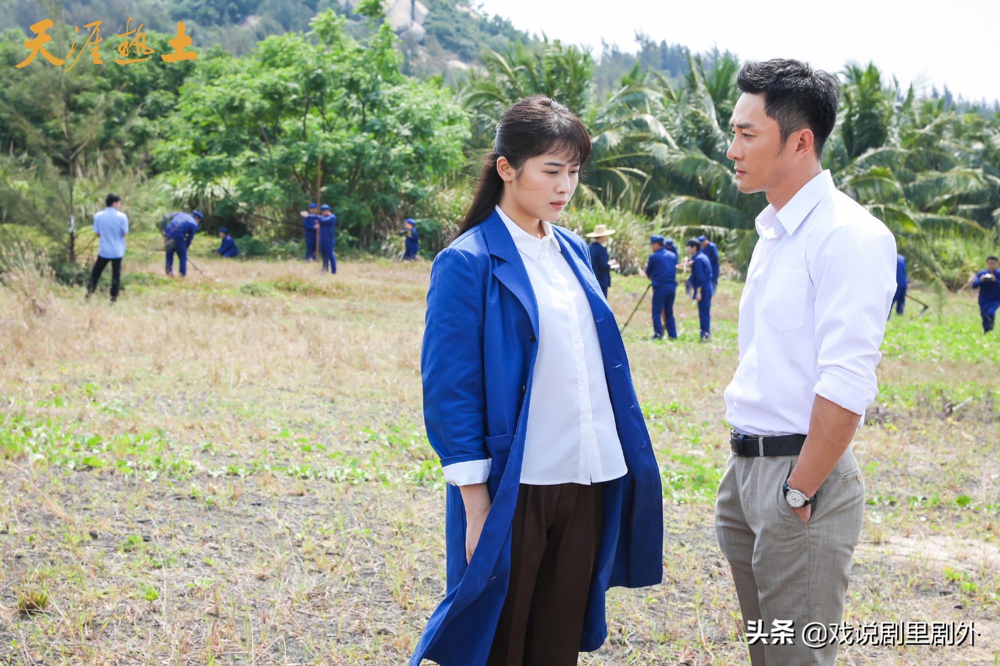 《天涯热土》：陈继胜渣，徐冰清白莲花，金逸飞报复只因心有怨恨