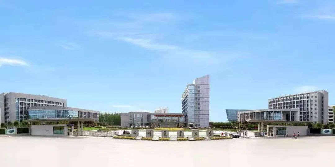 川农14个学科入榜中国最好学科！最好成绩全国第二