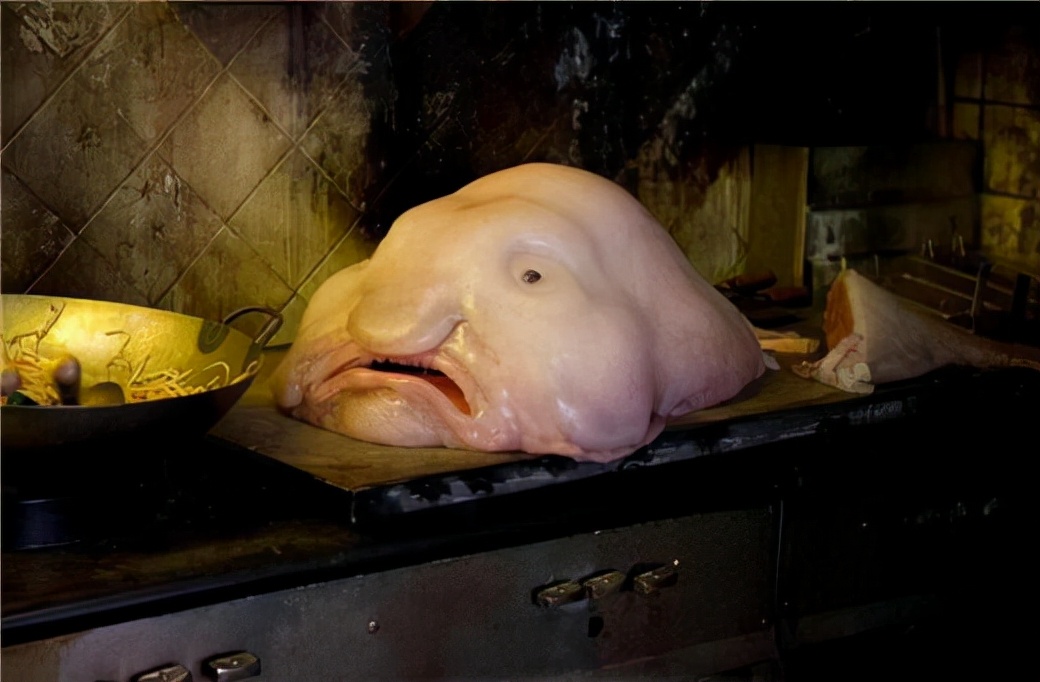 海底一萬米，居然有長得這么驚悚的生物，我居然一個都沒見過