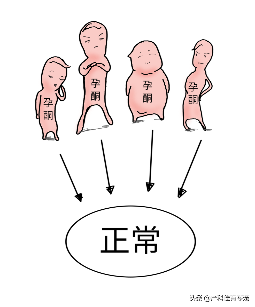 孕酮卡通图片