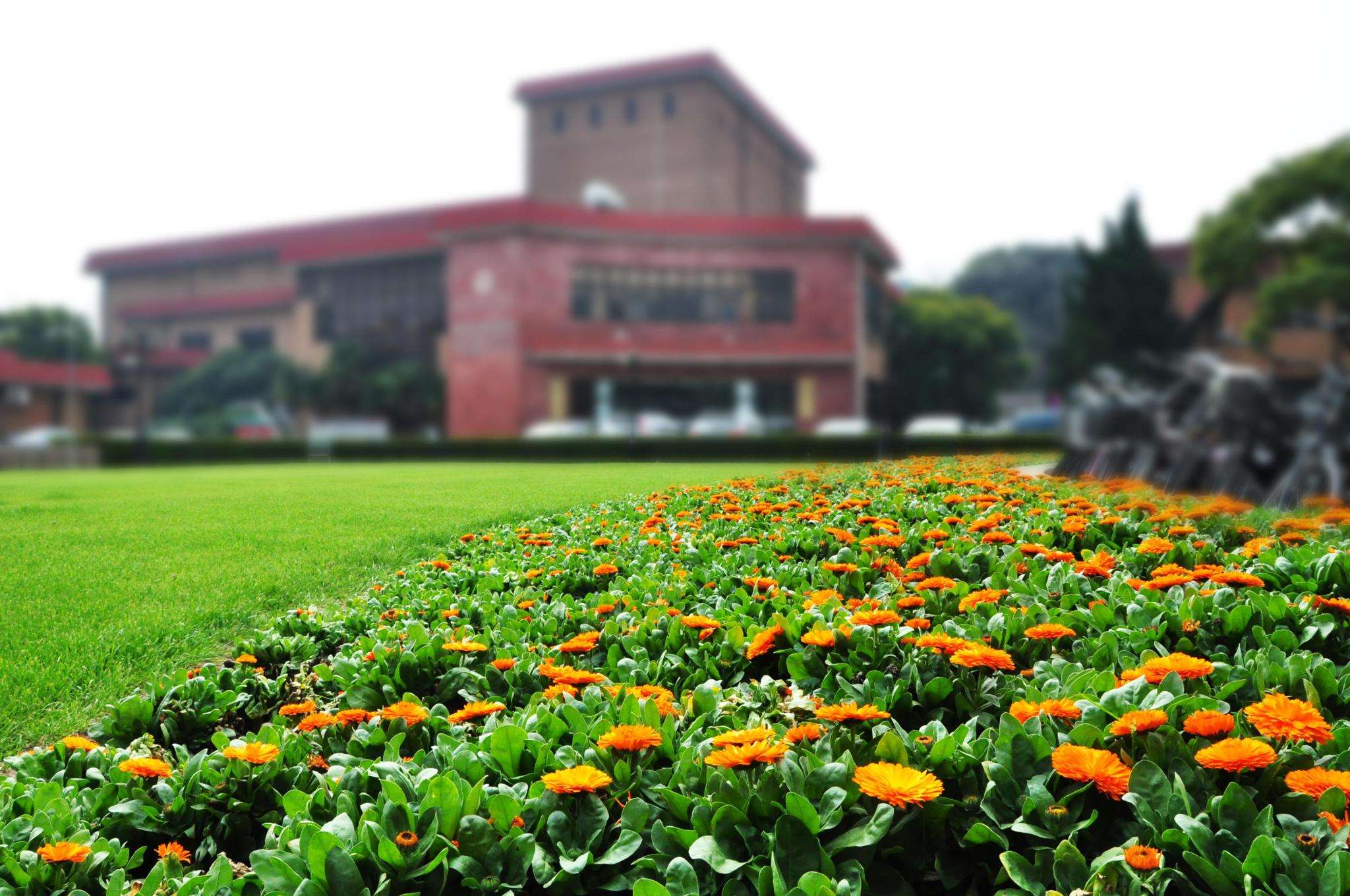 考研：有哪些名声好、保护第一志愿的大学？