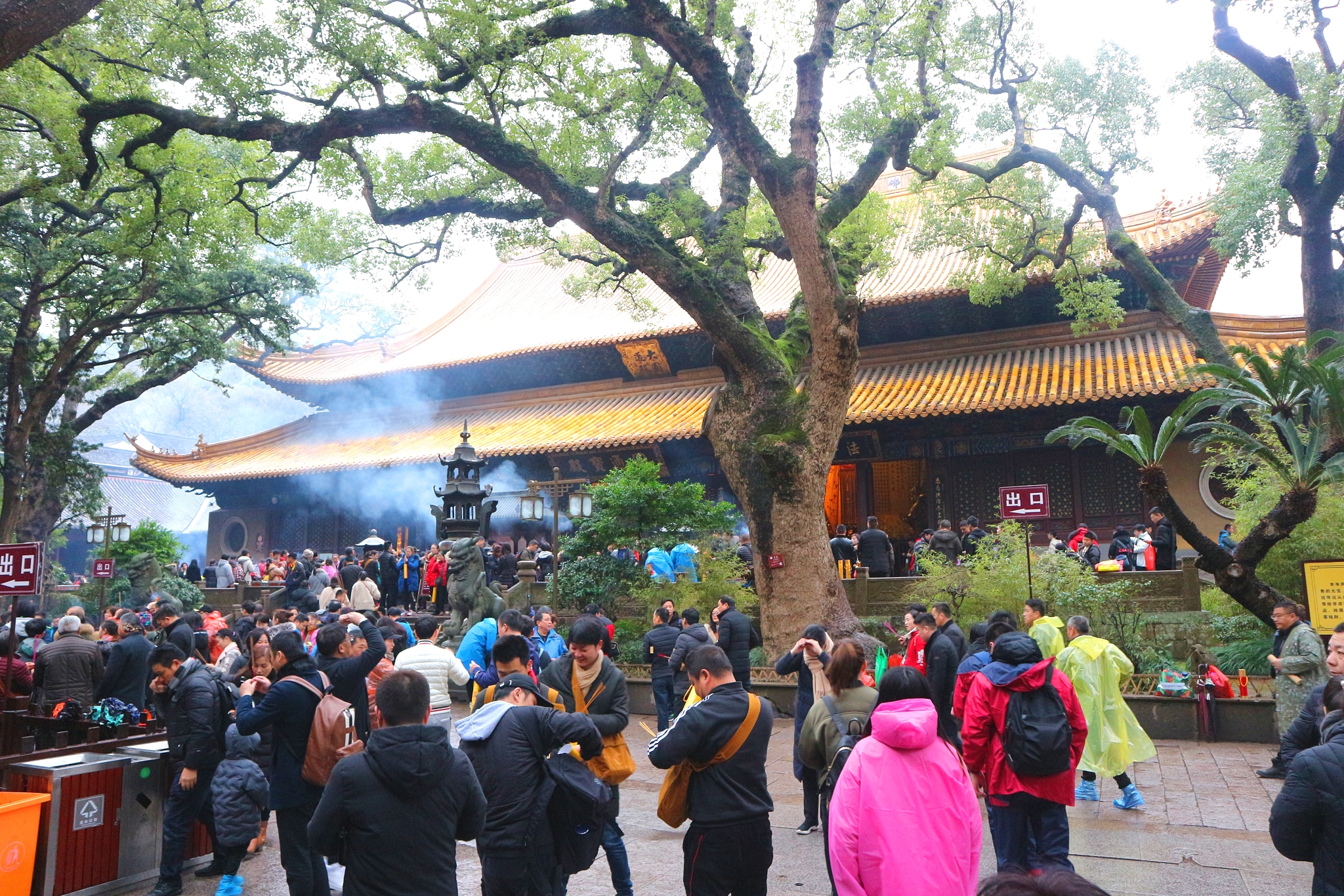 普陀山各大寺廟的香鼎前,遊客爭相扔錢,這樣祈福恐怕不妥