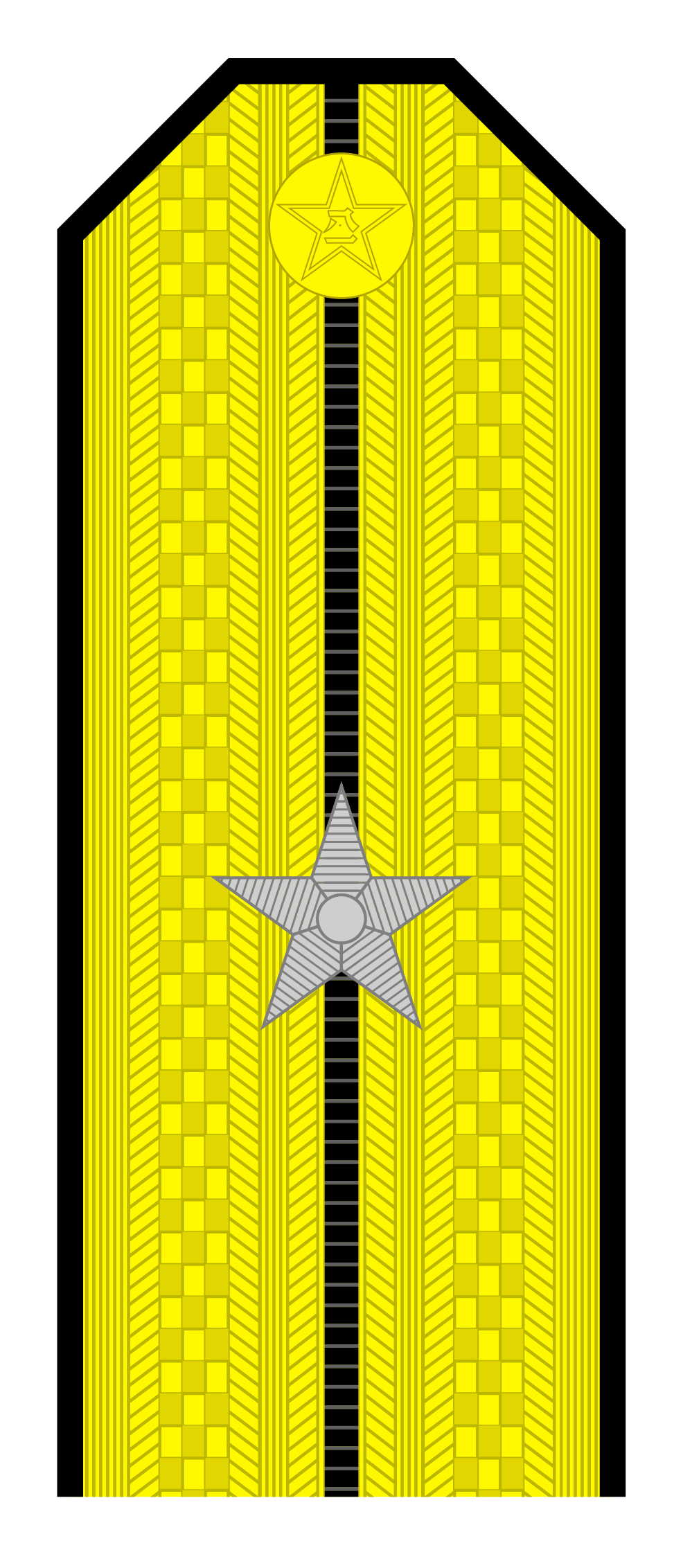 解放军肩章大小图片（解放军55式军衔军官常服肩章一览）
