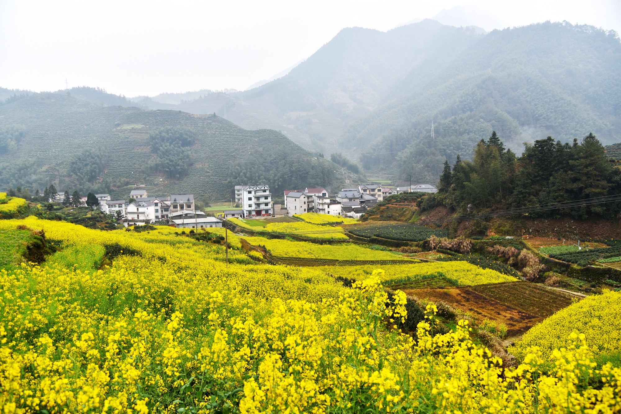 自驾徽州天路，走进真山真水，寻找生活本来的样子