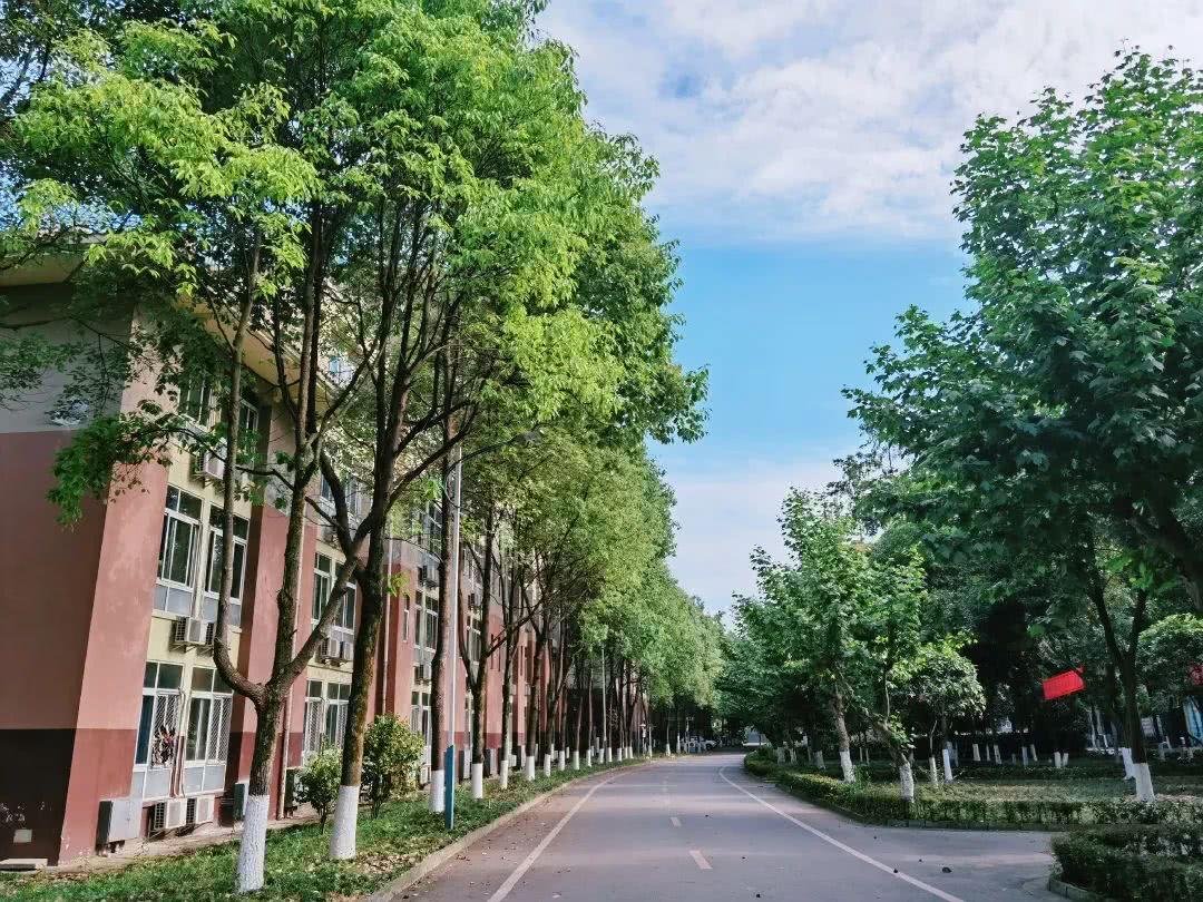 报考四川高校注意了，这4所本科高校有专业级差，专业排序要小心