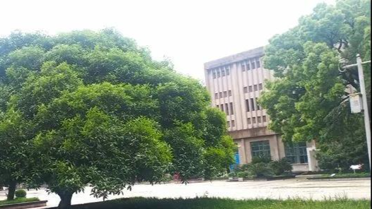 名校巡礼④ | 办学仅6年，冲进衡阳民校前四！博雅有多牛？