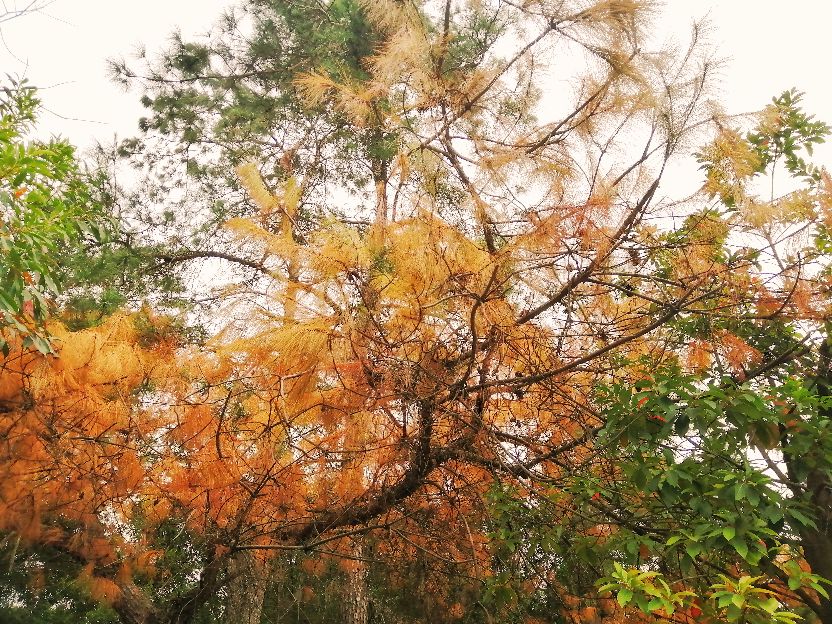 开学两周，我眼中的贺州学院