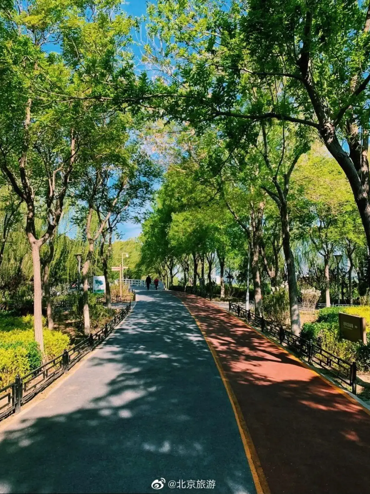 北京旅游点有哪些景点(中国旅游点有哪些景点)