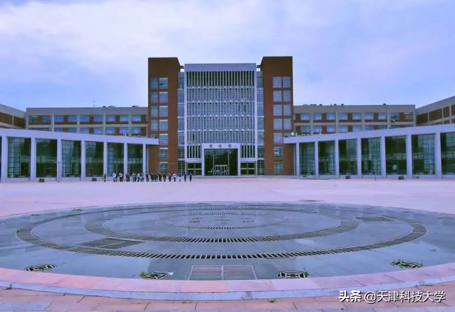 【毕业季】一枝一叶总关情，让我再次走近您（滨海校区）