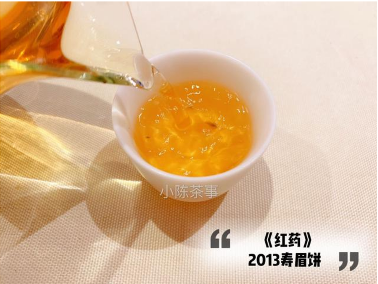 200元买了白牡丹，掌柜还送我一饼5年陈老白茶，我这是捡漏了吗？