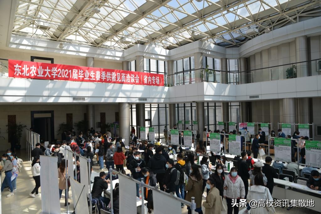 薪资和发达省市不再是就业首选｜揭秘双一流高校东北农大