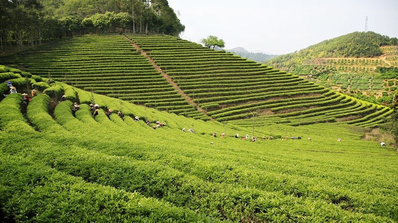 广东十大经典旅游景点，你去过几个？