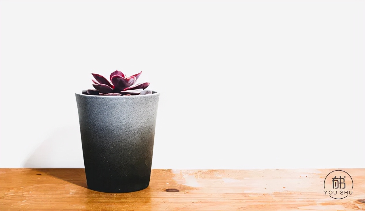 国学大师翟鸿燊语录(如何让人生更精彩)