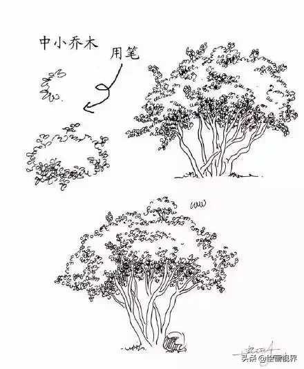 干货！教你15种速写植物配景画法，简单易学，学会画速写很简单