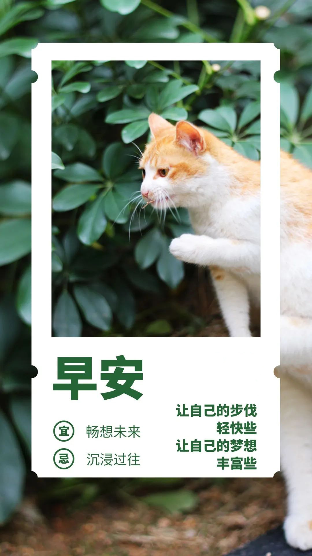 周三早上好问候语正能量阳光：看见更美的风景，邂逅更好的自己