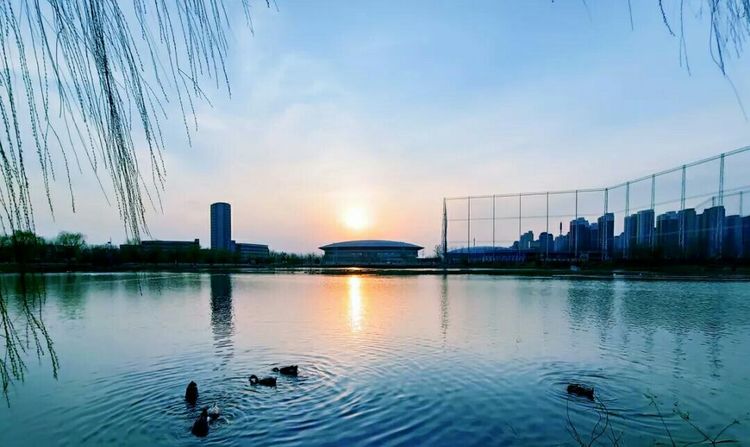 在“商”言“伤”，天津商业大学—原商业部属商学院沉浮