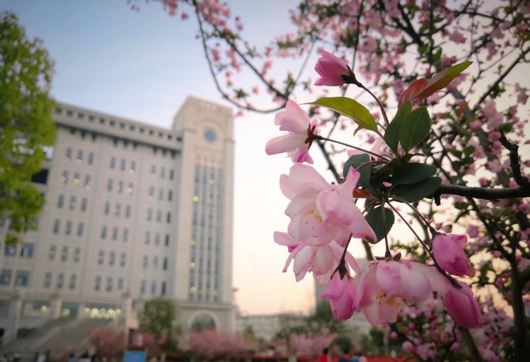安徽农业大学图书馆(安徽农业大学图书馆-时间)