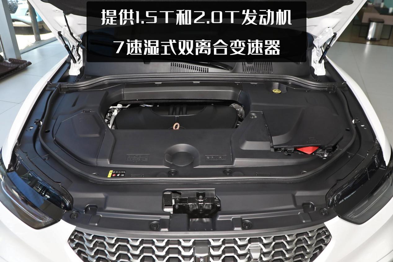 冲着年轻人来的魏派VV5，赢得了年轻用户，就赢得了市场？