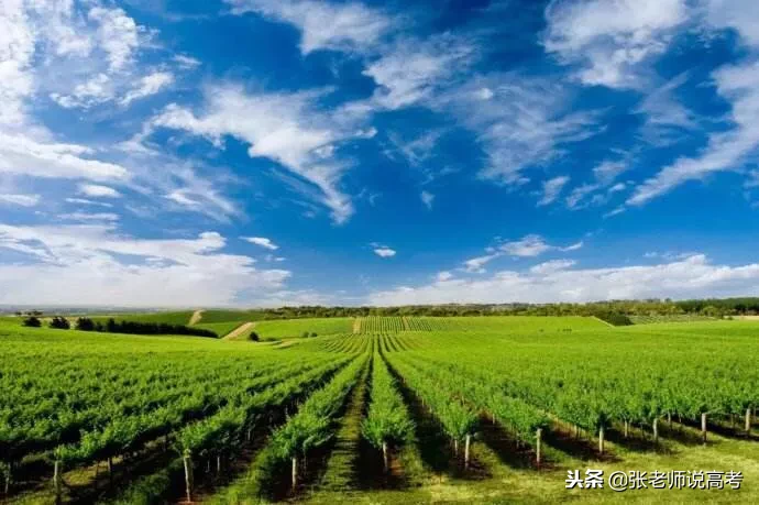 农学院（综合性大学相继设立农学院）