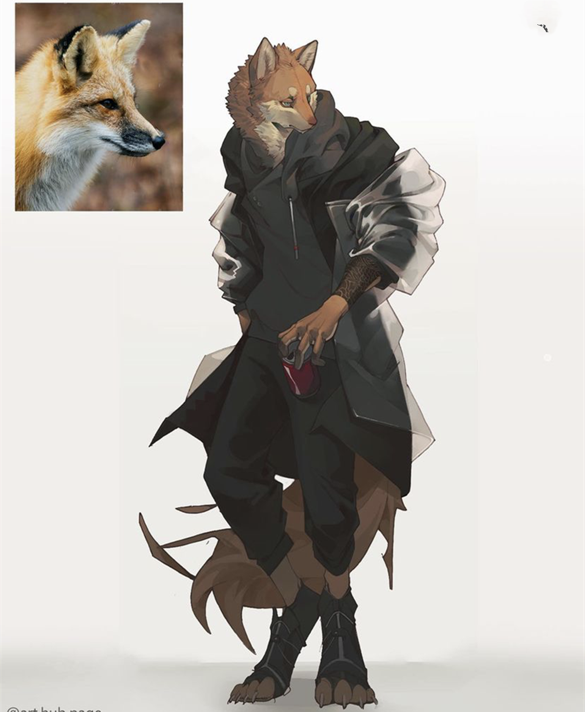 动物动漫图片(猫科动物也能二次元) - 赤虎壹号