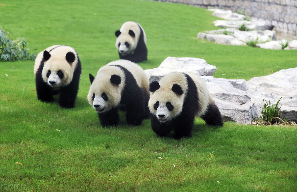 上海的旅游景点介绍(上海) - 悦闻天下
