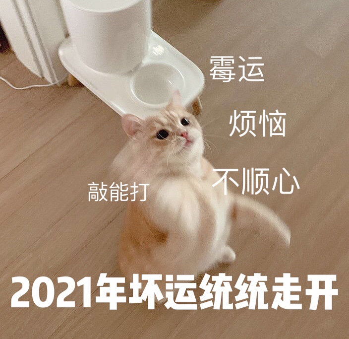 很有意思的2021跨年表情包