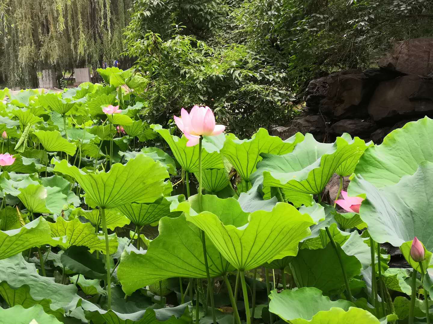 大学英语四级听力训练方法与应试技巧指南
