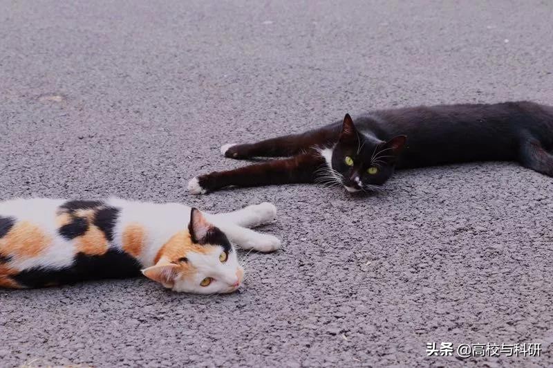 深圳大学，没想到你是这样的存在