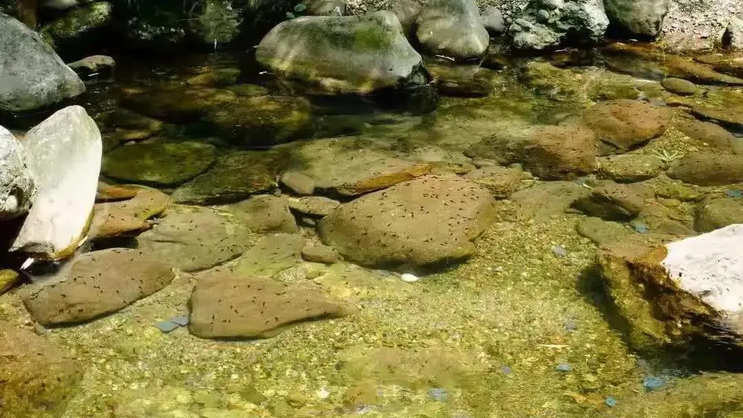 大邑8处野生溪流+天然瀑布，耍水收藏