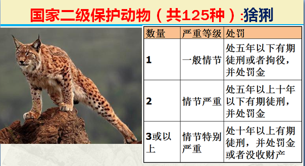 国家保护动物分几个等级（125类二级野生保护名录）