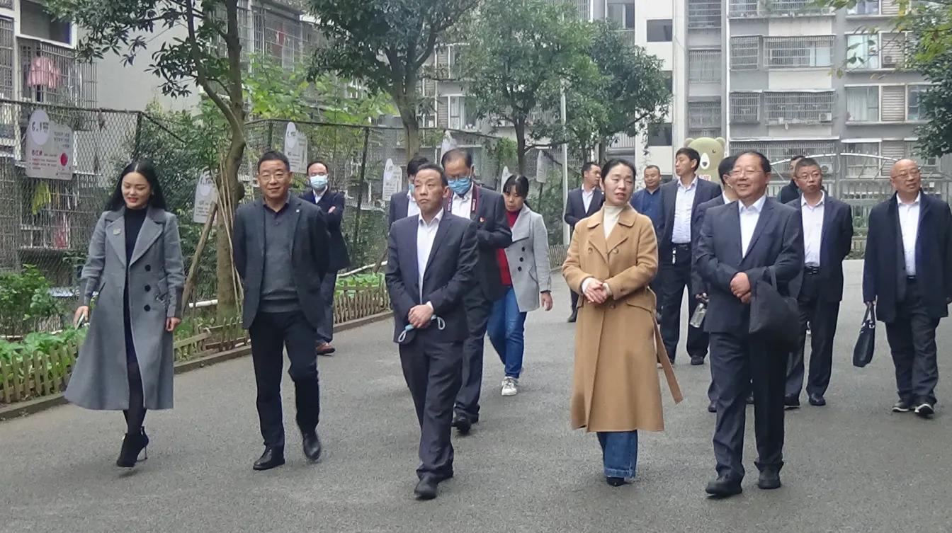 校际交流促发展 共话教育谱新篇